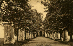 Historická fotografie aleje a kostela
