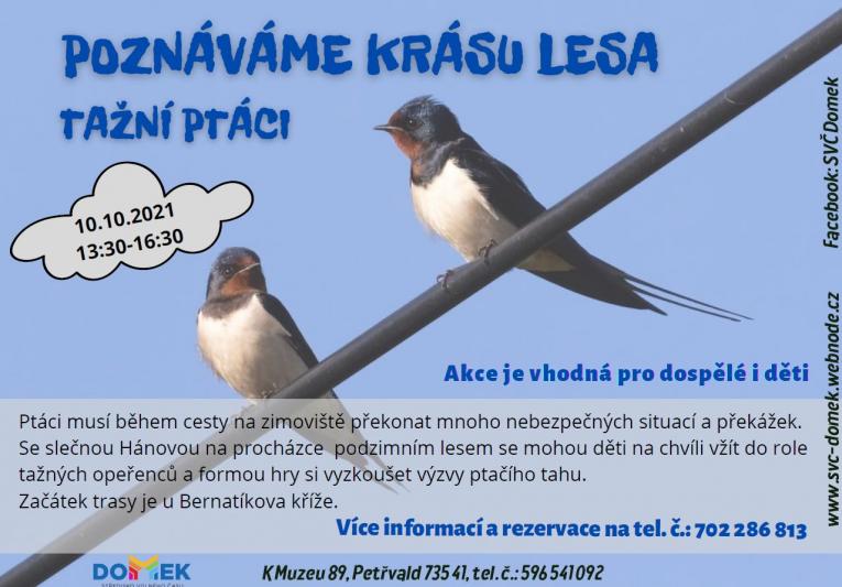 Poznáváme krásu lesa - tažní ptáci SVČ DOMEK, 10.10.2021, 13:30 - 16:30 hod., Se slečnou Hánovou na procházce podzimním lesem se mohou děti na chvíli vžít do role tažných opeřenců a formou hry si vyzkoušet výzvy ptačího tahu. 