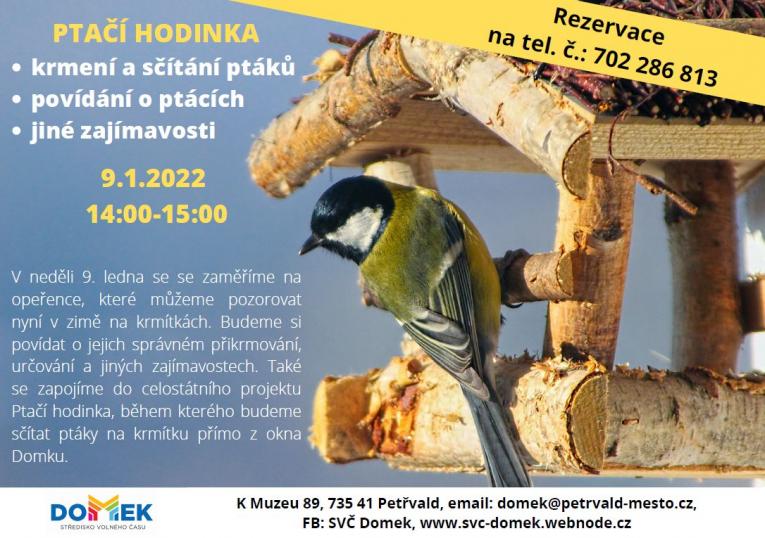 Ptačí hodinka DOMEK, 9.1.2022, 14:00 - 15:00 hodin, povídání o ptácích v zimě