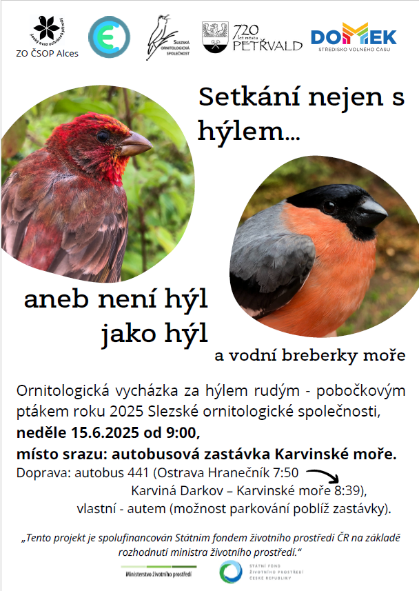 Vycházka
