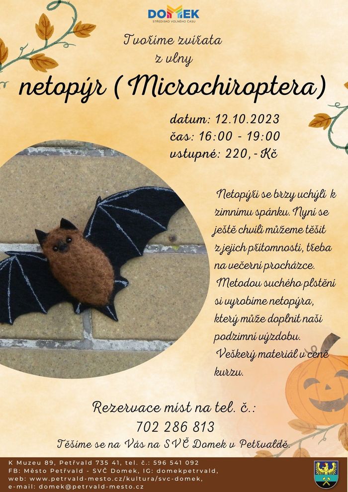 Tvoříme zvířata z vlny SVČ DOMEK,12.10.2023, 16:00 - 19:00 hod., Výroba netopýra metodou suchého plstění