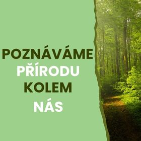 Vycházky